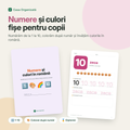 Fișe de lucru: Numere și culori